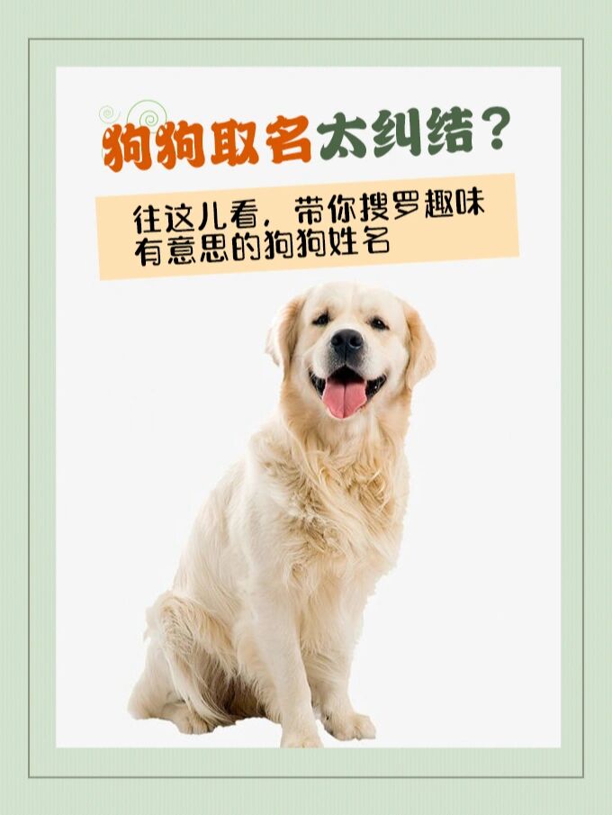 哈希娱乐- 哈希游戏平台- 哈希游戏官方网站CES数码类产品列表