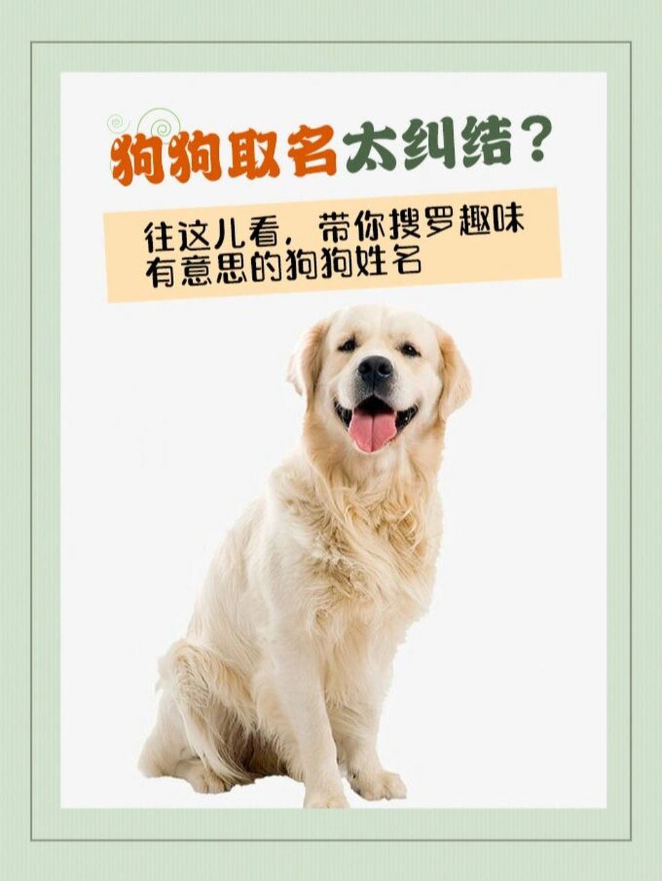 狗狗名字大全|总有一款适合你家的汪98 铲屎官们把狗狗接回家,最