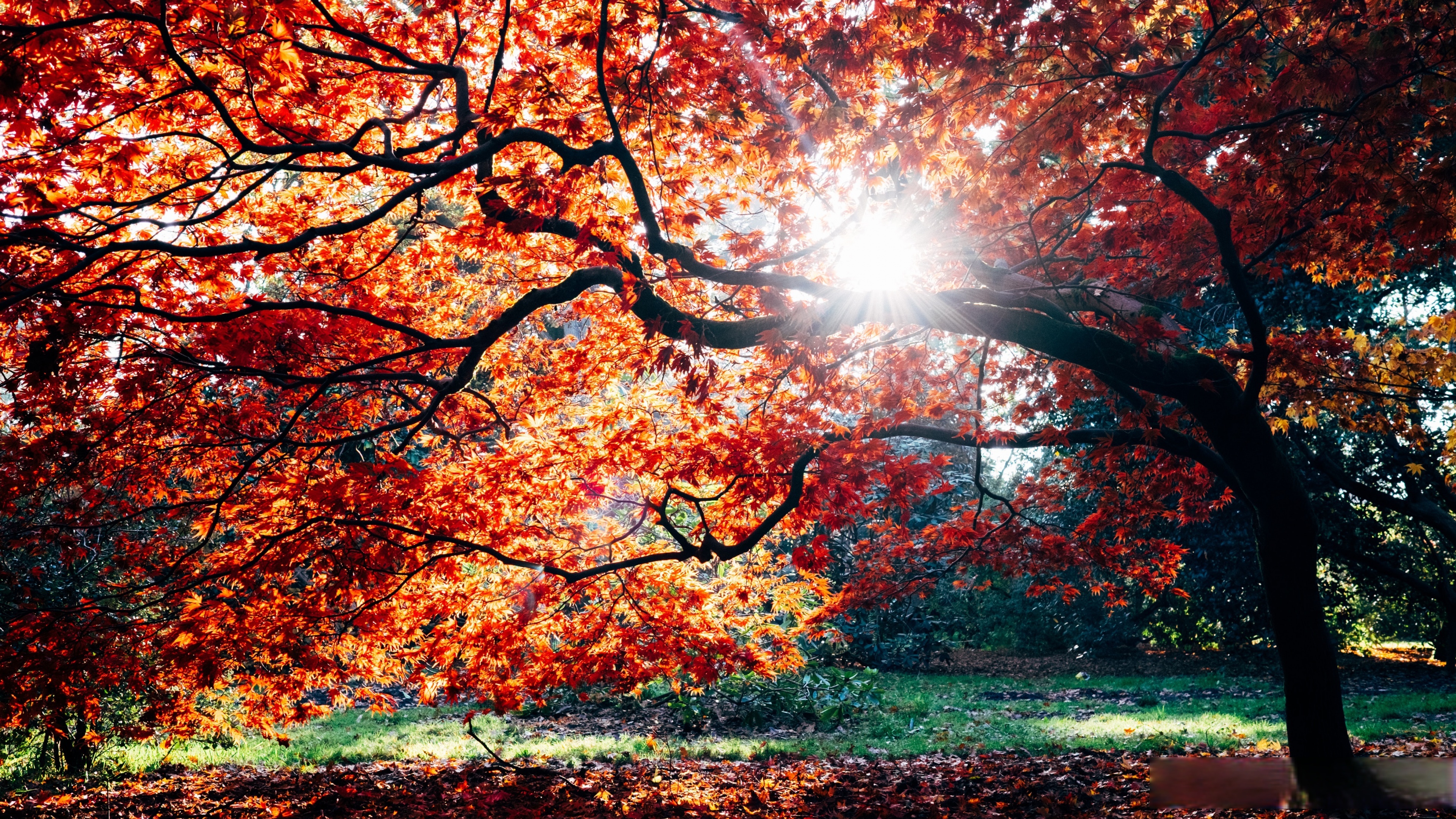 高清无水印图片壁纸超话 #治愈系风景# 超清4k壁纸超话 #动漫壁纸