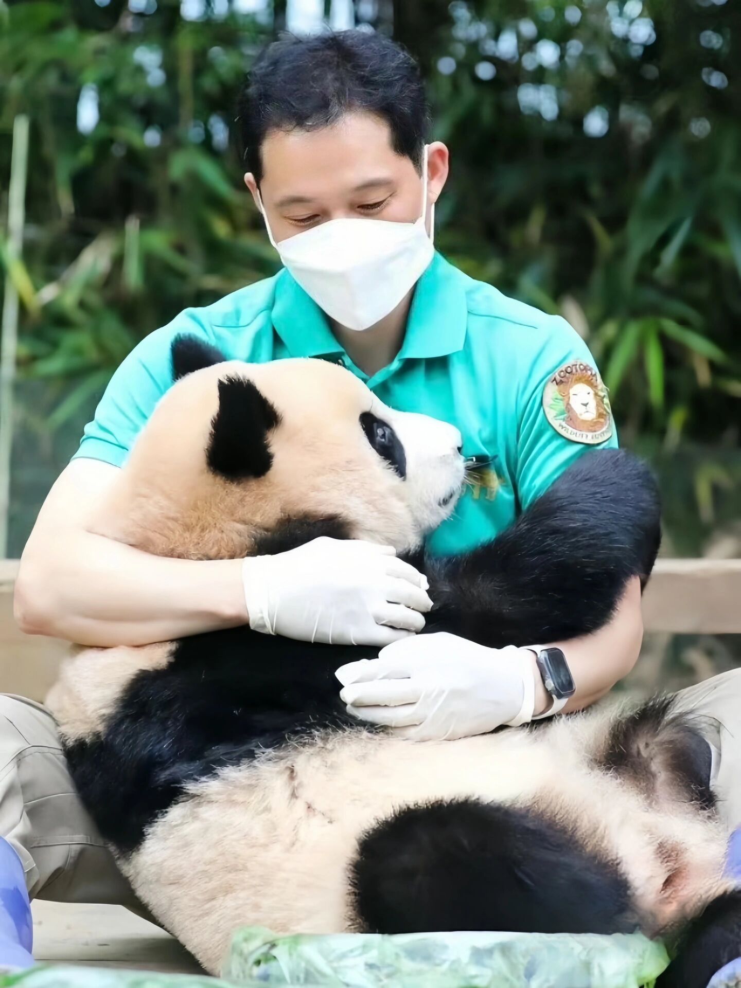 【超清壁纸】哎哟哟宋宝眼中的宠溺都溢出屏了 瞅瞅这拉丝的小眼神!