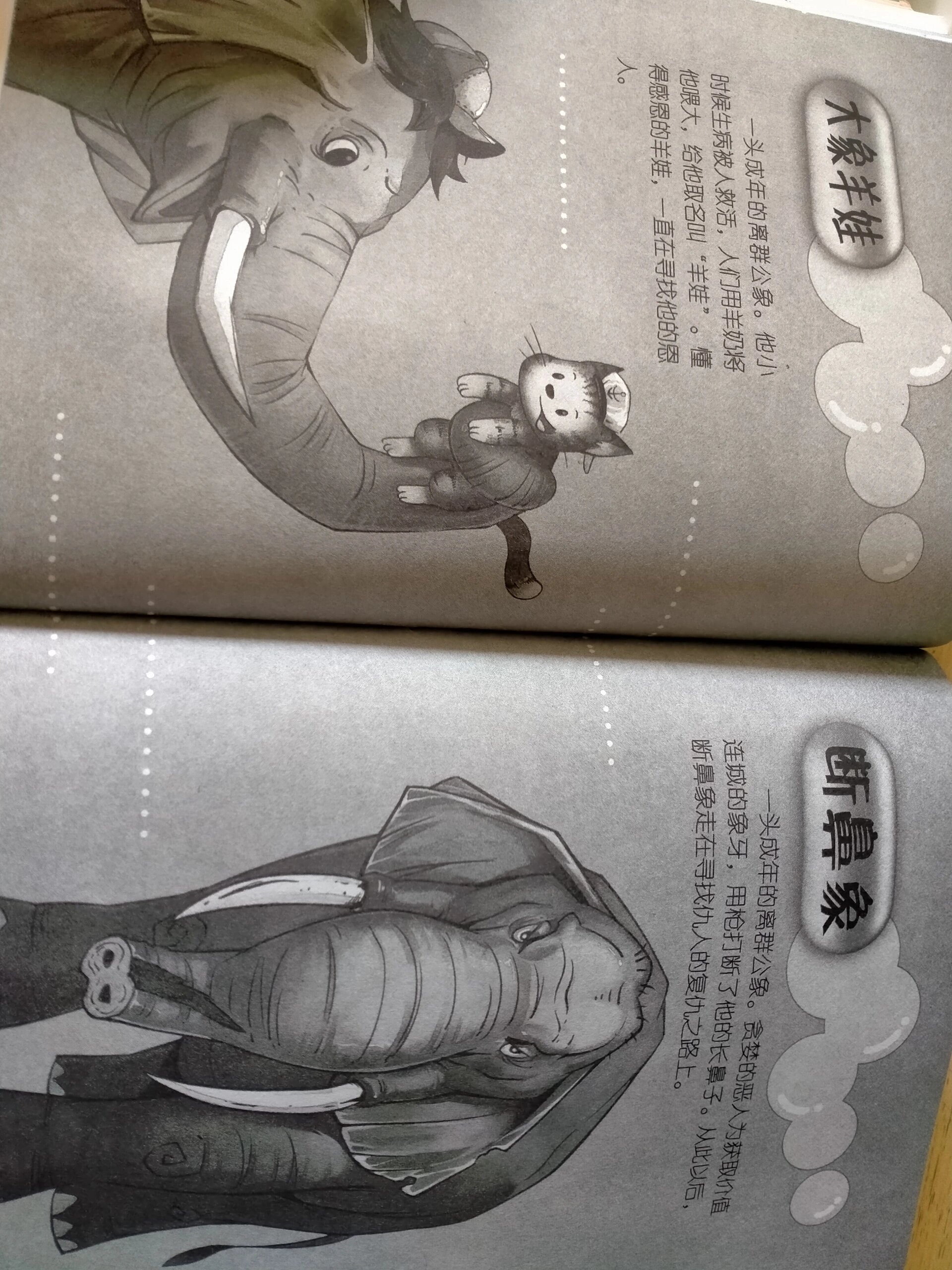 《笑猫日记》28人物介绍