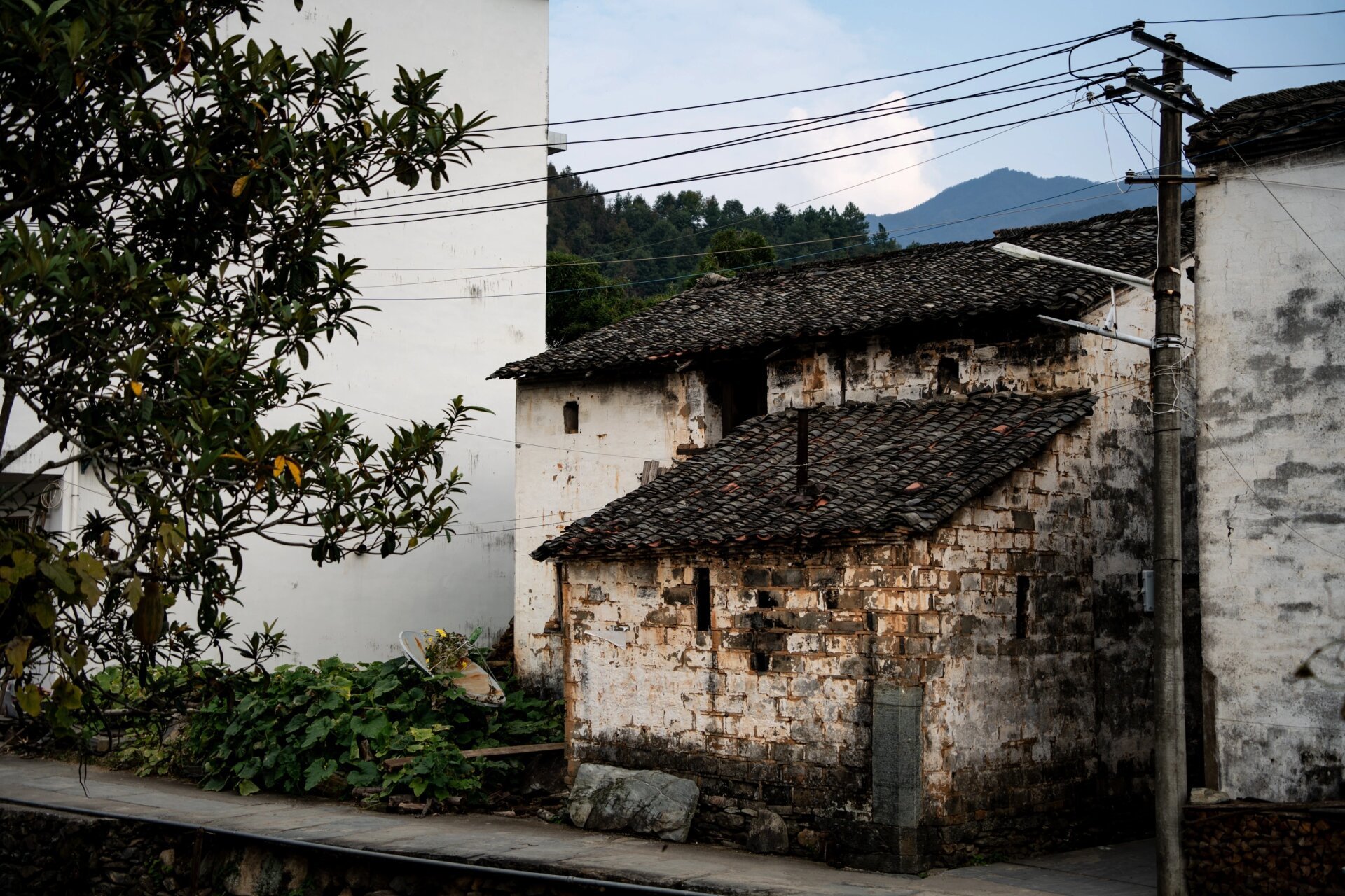 徽饶古道图片