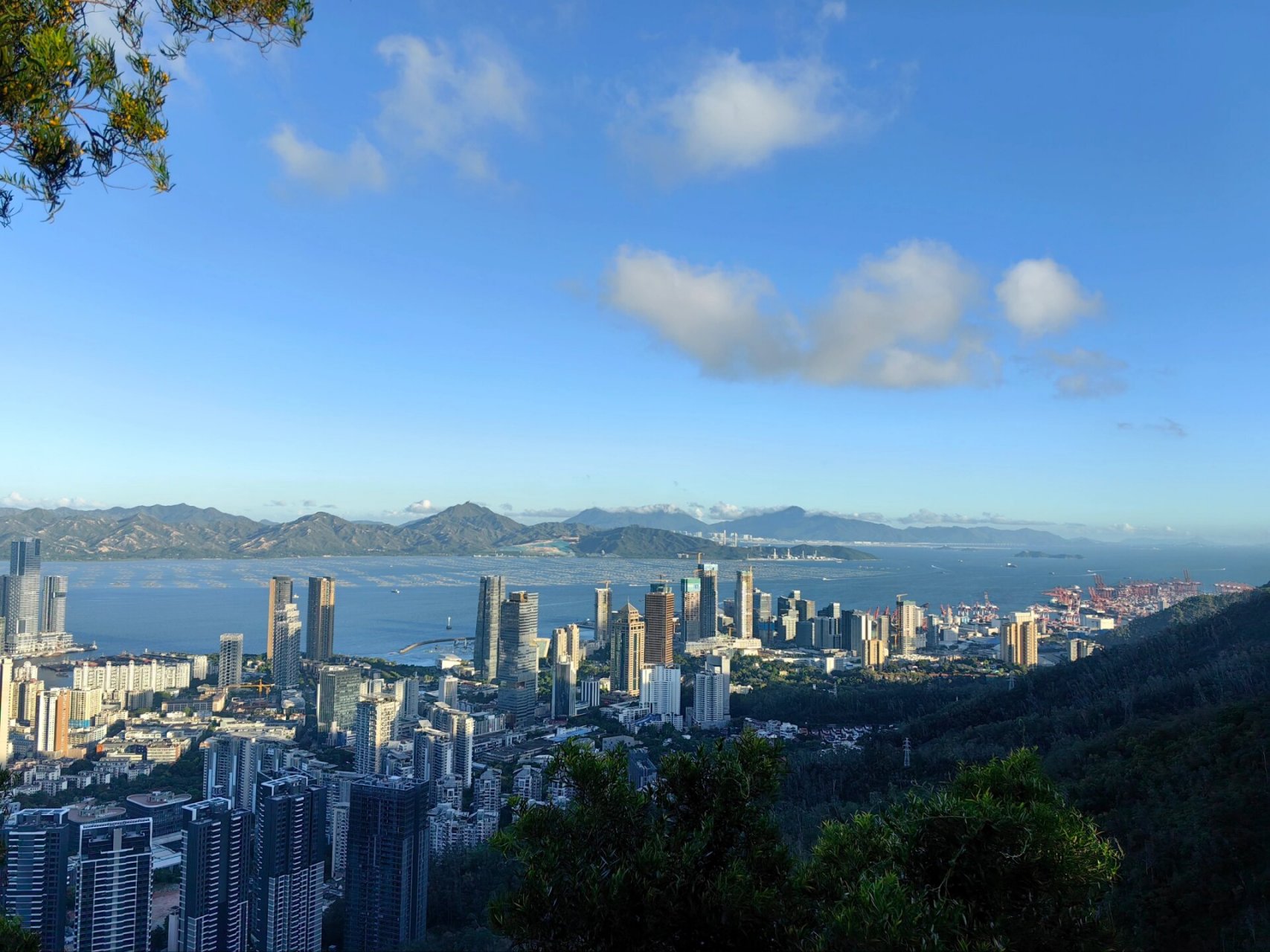 深圳市大南山景点图图片