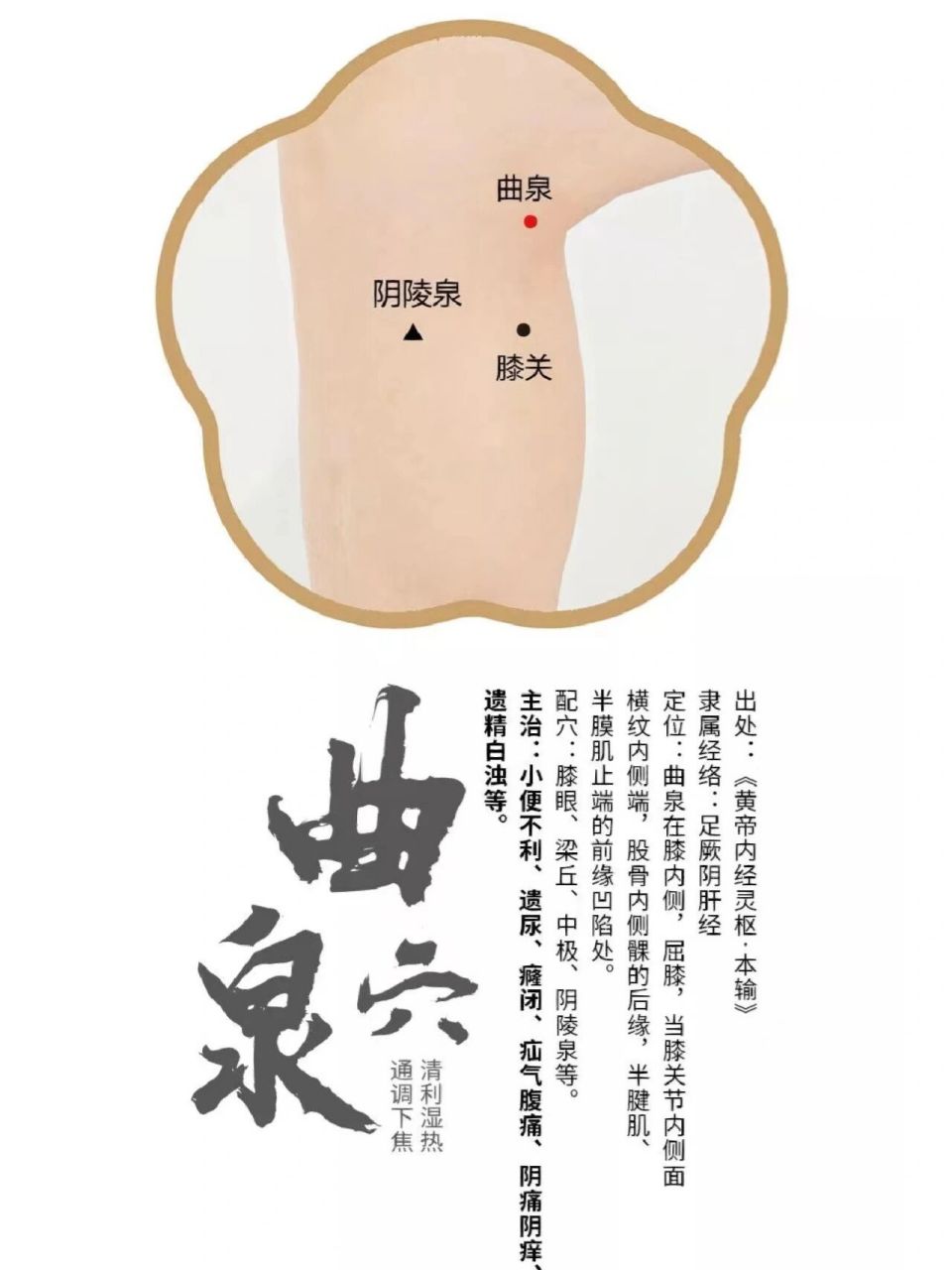 女性的福音"曲泉穴" 我们一起来聊聊肝经的合穴"曲泉穴",曲泉穴是属水