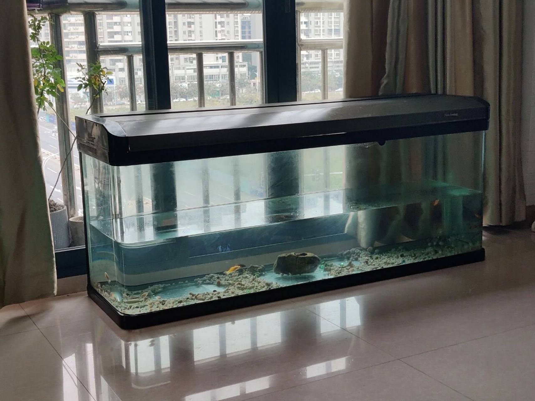 150cm大鱼缸放阳台,承重应该没问题吧 我想给鱼缸加满水,但又担心承重