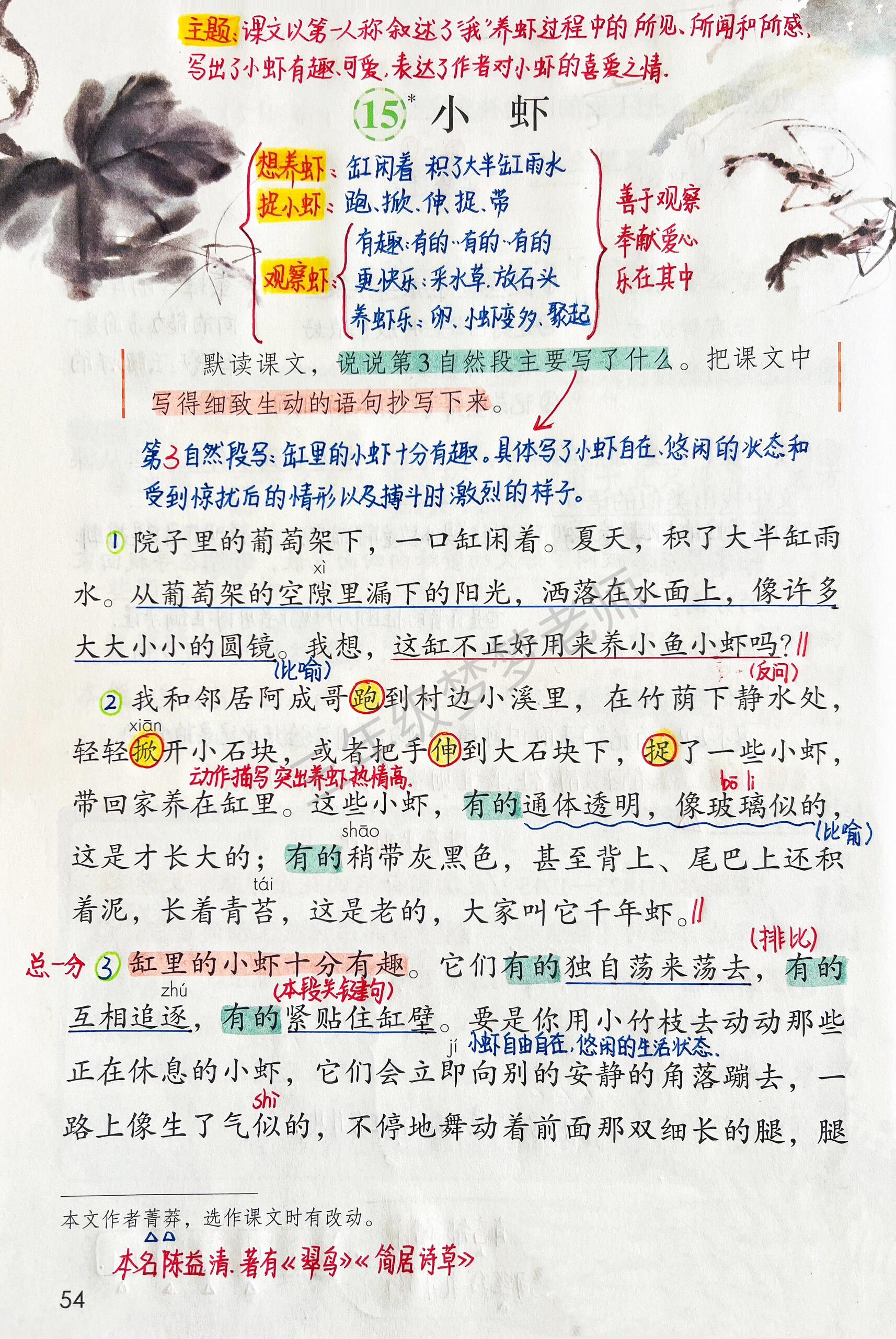 三年级下册语文|15*小虾 课堂笔记更新啦