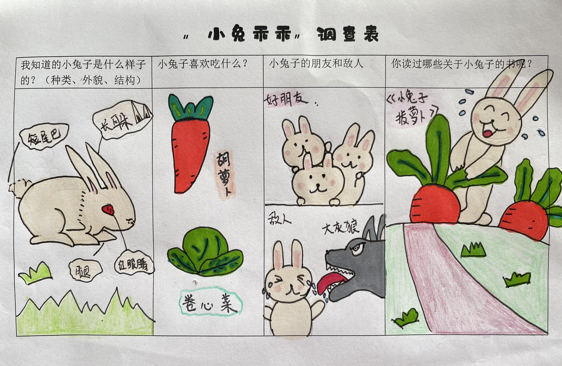 "小兔乖乖"调查表 孩子上幼儿园之后才被挖掘出来的潜力,太难了09
