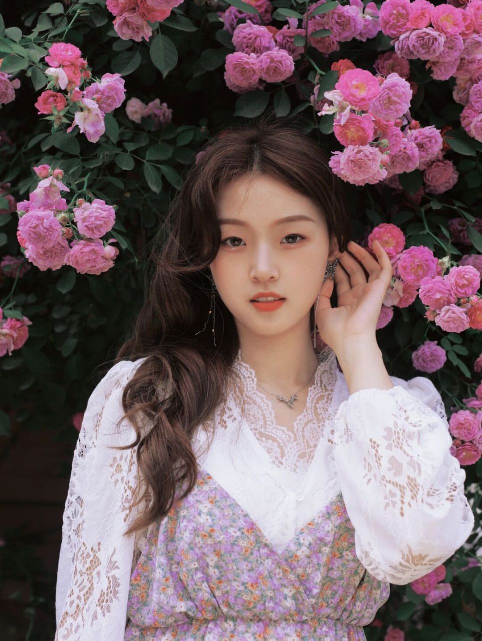 这是女团专辑封面吗 武汉蔷薇花拍照 花花拍照攻略来啦[得意] 1.