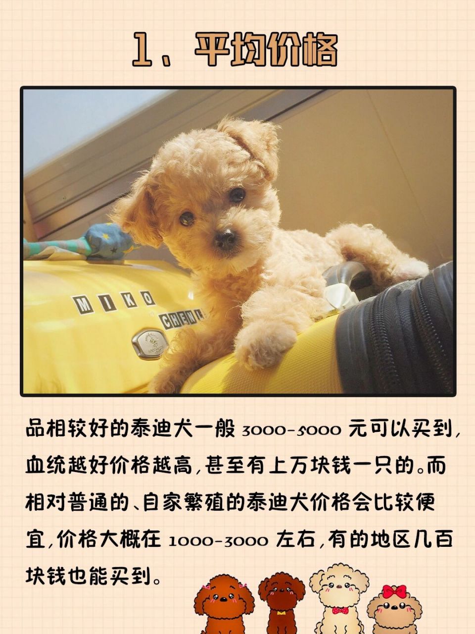 971,平均价格 品相较好的泰迪犬一般3000-5000元可以买到,血统越好