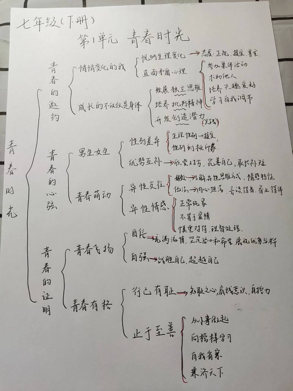 七下道法第1单元《青春时光》思维导图 第一单元青春时光 第一课青春