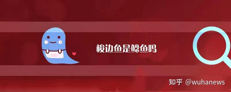 清江鱼梭边鱼鲶鱼求区分