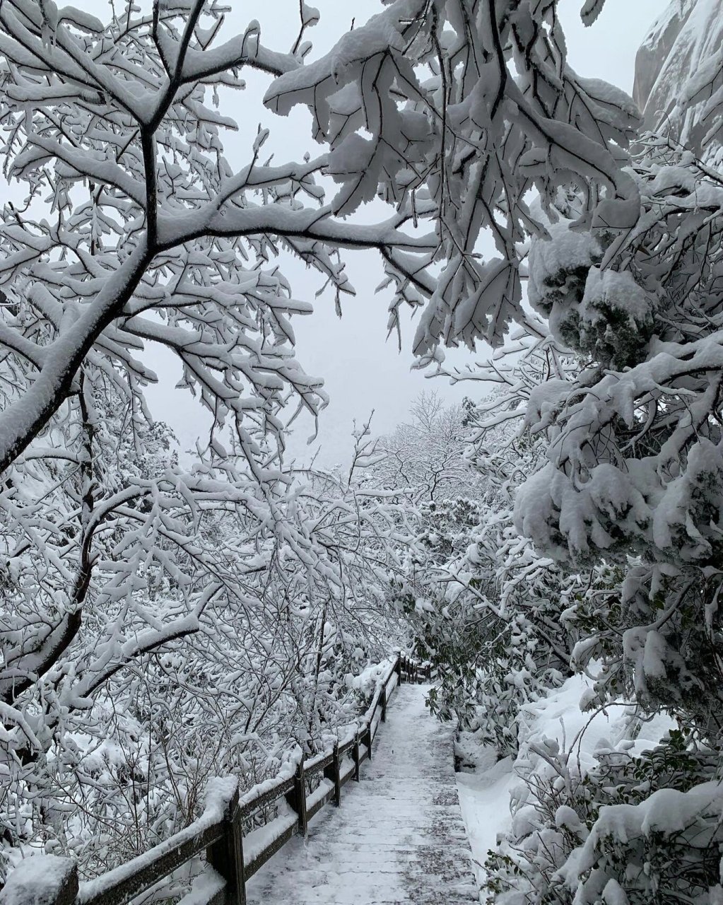 黄山温泉图片飘雪图片