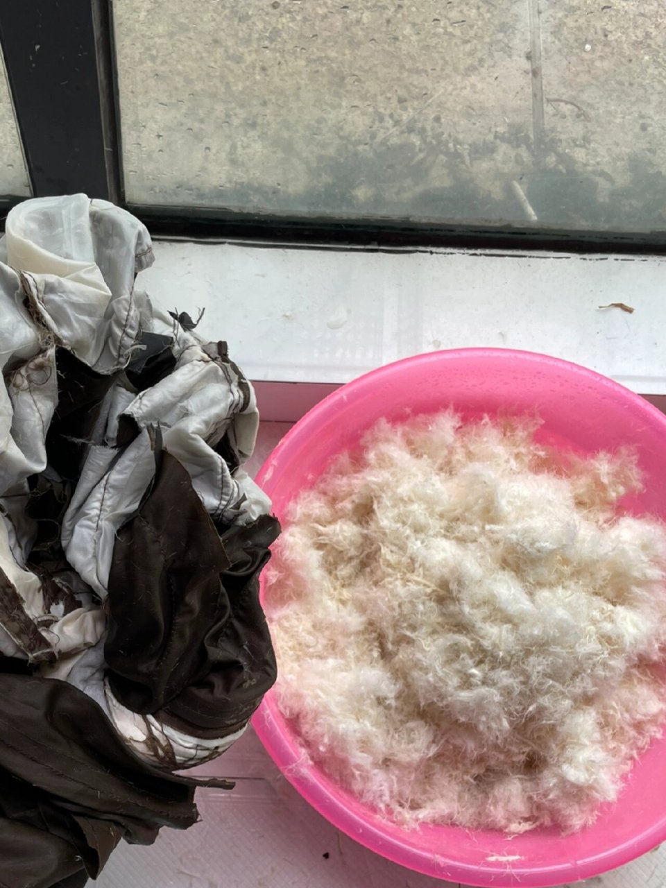 价格也不便宜,合计了一下就把衣服里的羽绒掏出来给娃做个羽绒小枕头