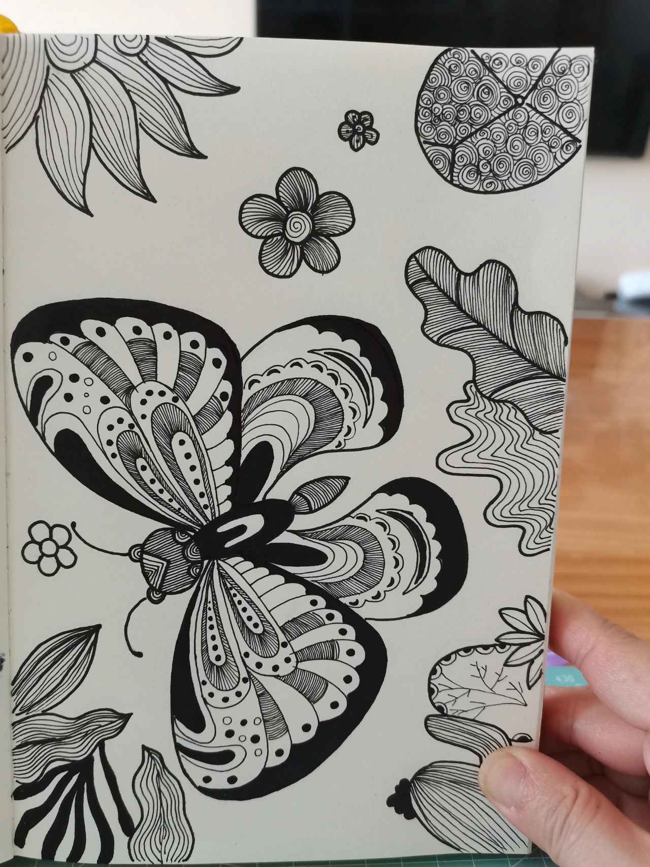 线描画《蝴蝶》～～第63幅