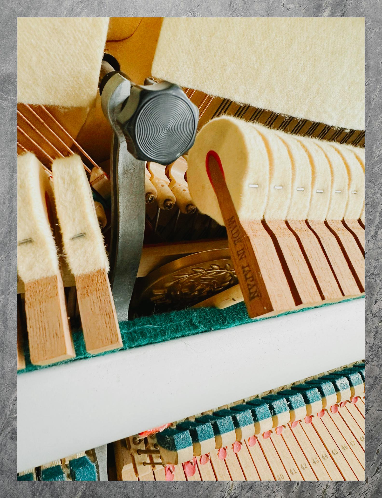 就是击弦机里的"小客人"来串门了,需要调律师悄悄打开钢琴的门,才能把