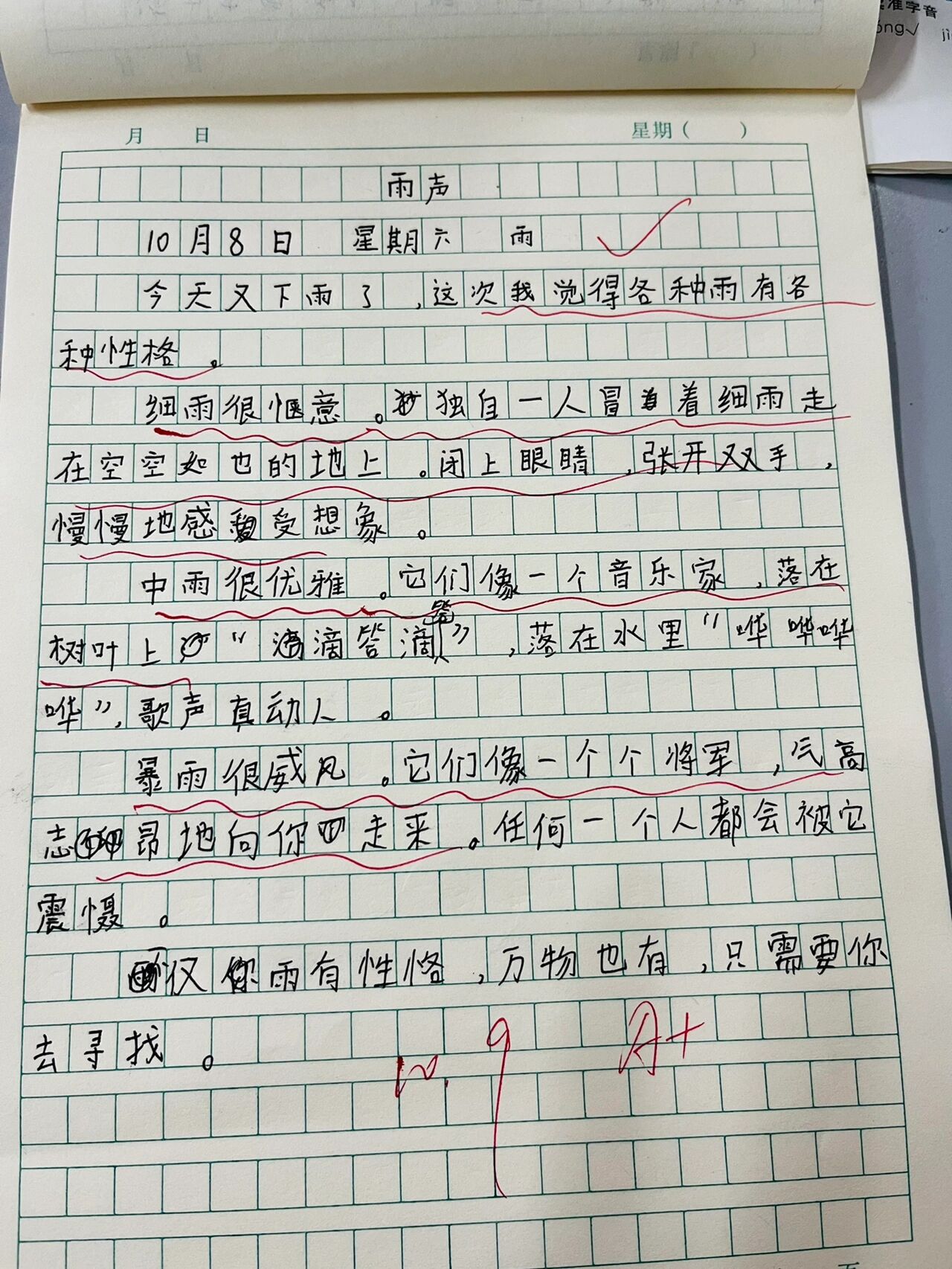 五年级 每日百字作文 《雨》