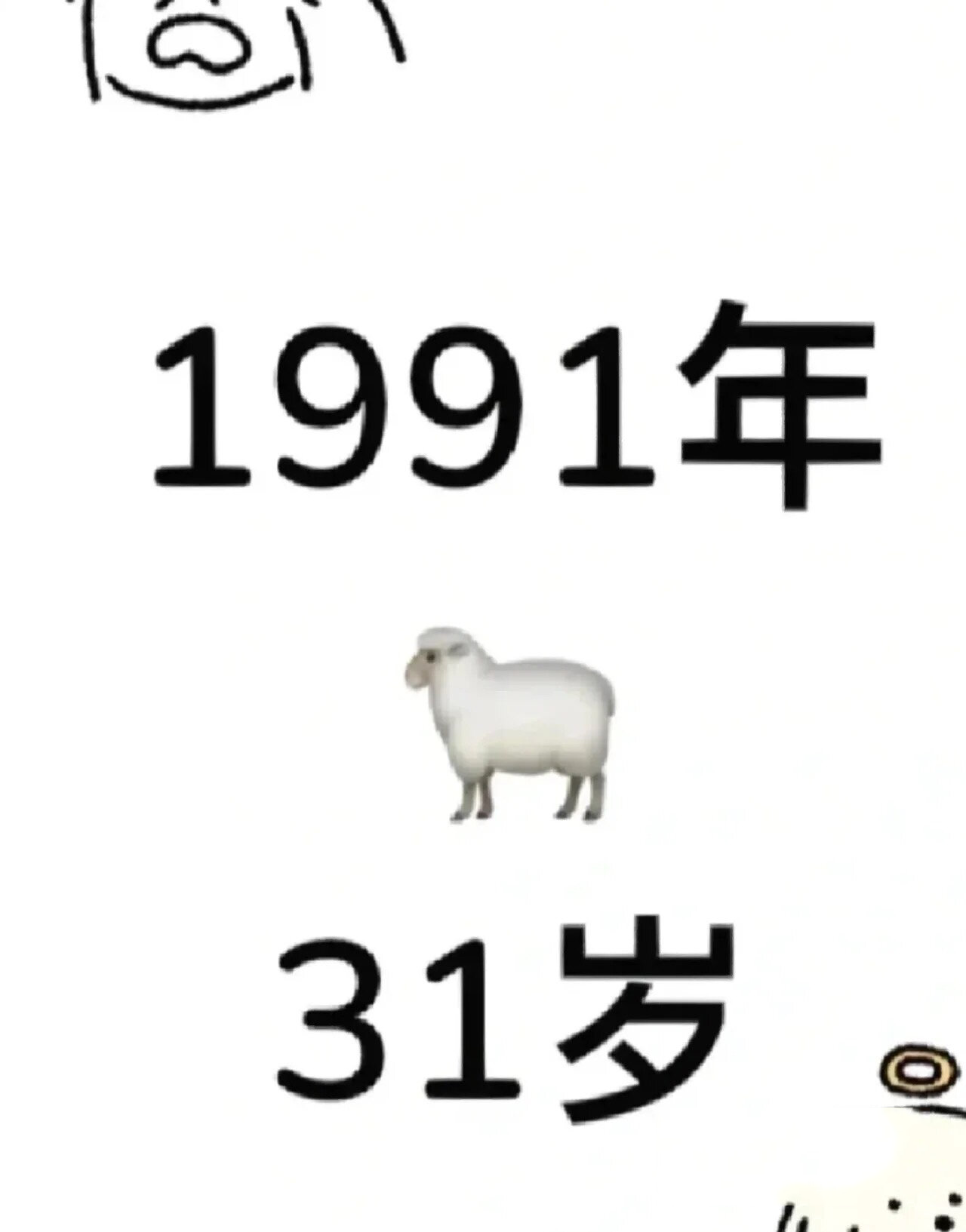 91年属羊的