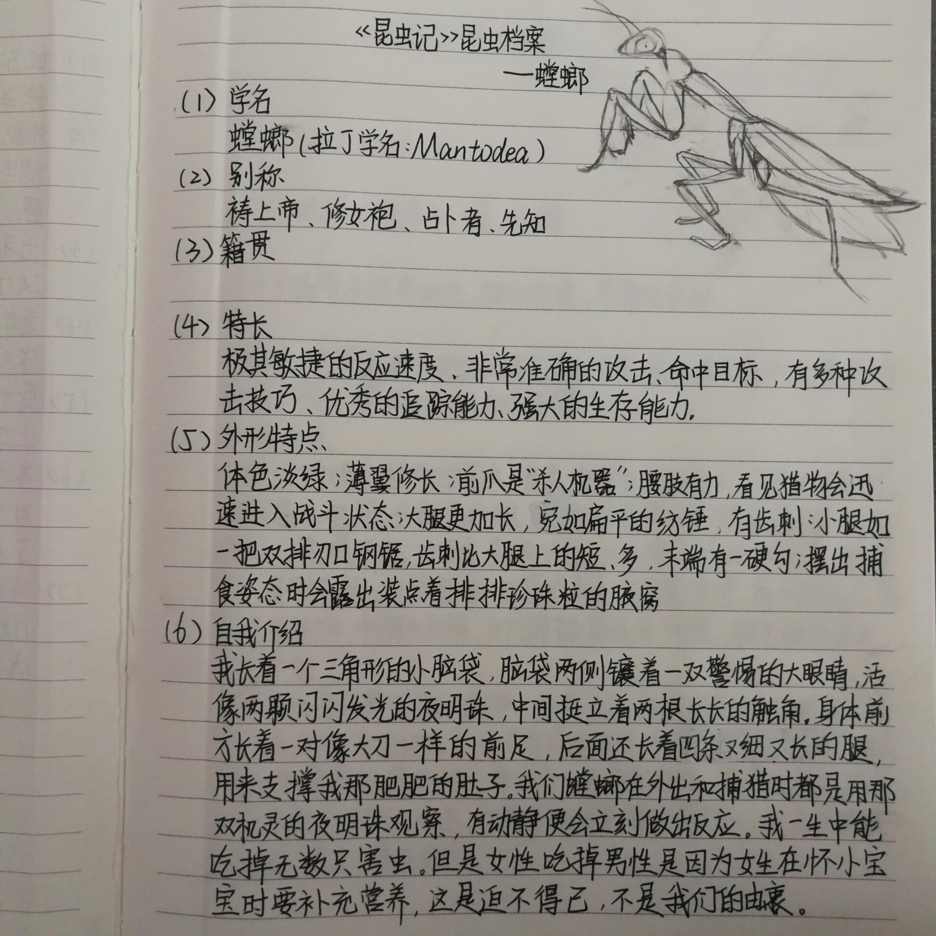 昆虫备忘录螳螂作文图片