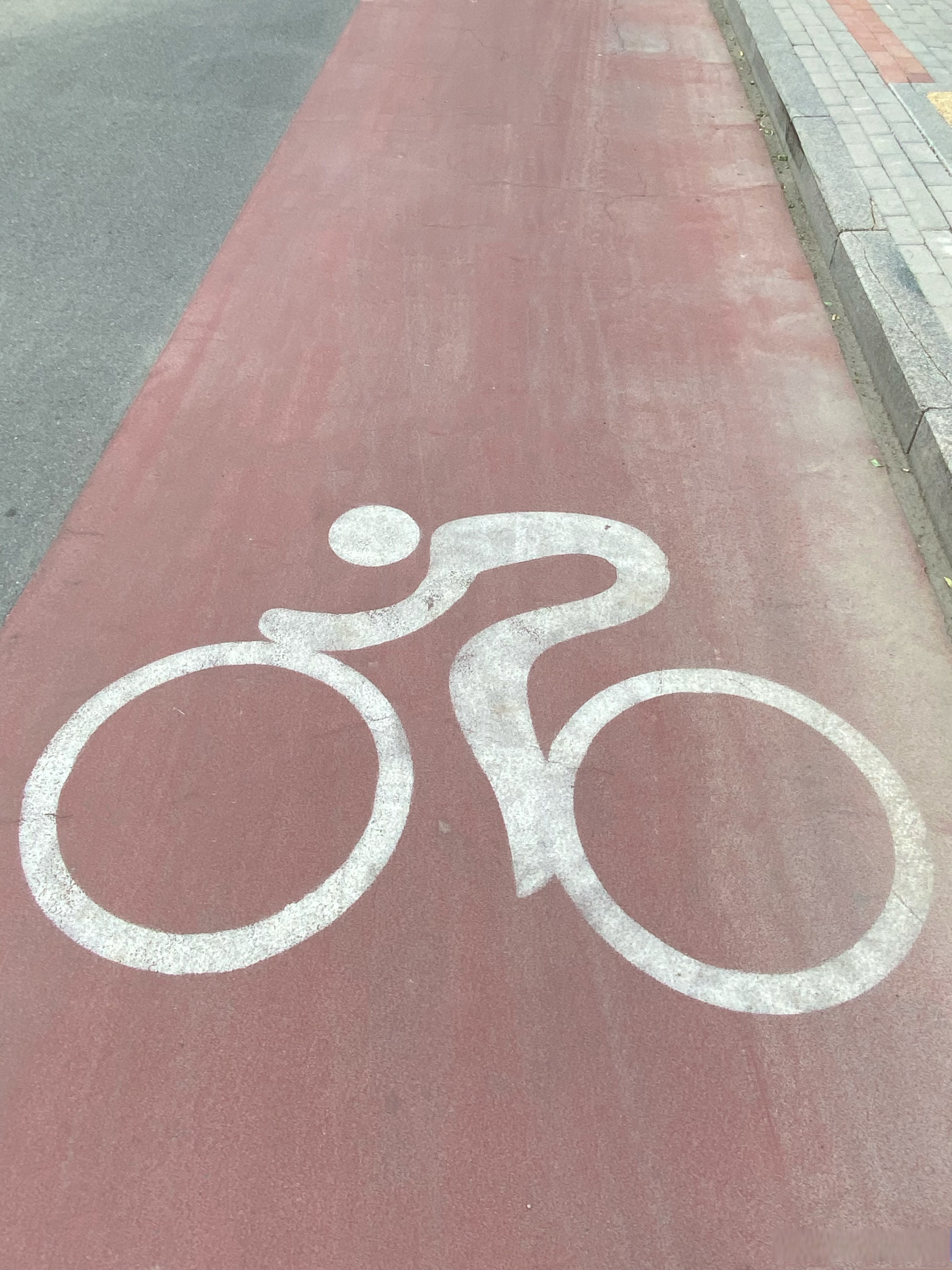 标志城市骑行骑行路标公园城市 骑行标志骑行道路标志骑行路两边 点缀