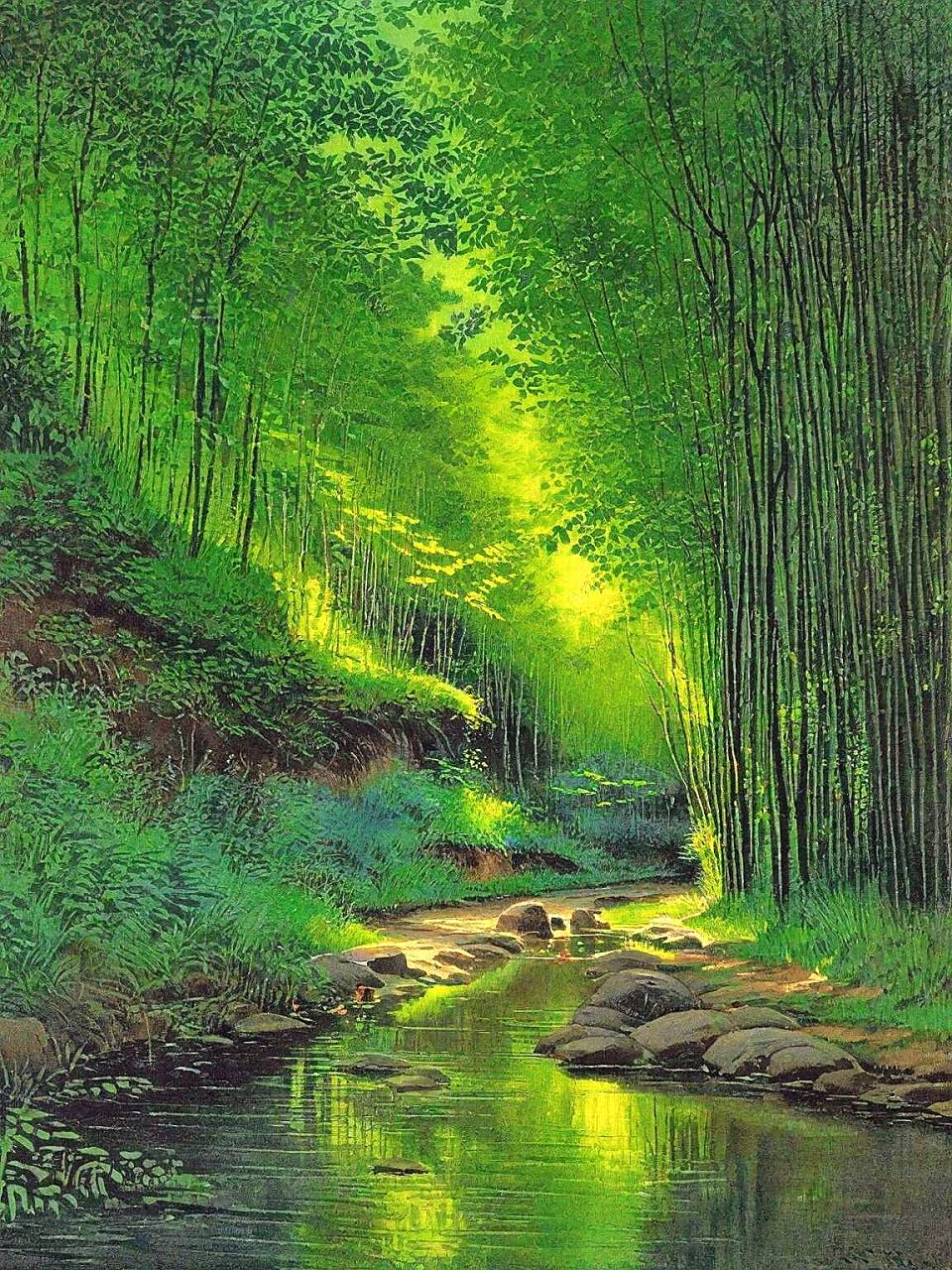 林间美景·静谧森系壁纸