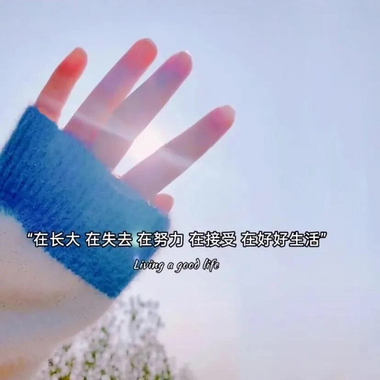 微信头像|文案图片|背景图 朋友圈文案 	 在长大,在失去,在努力,在