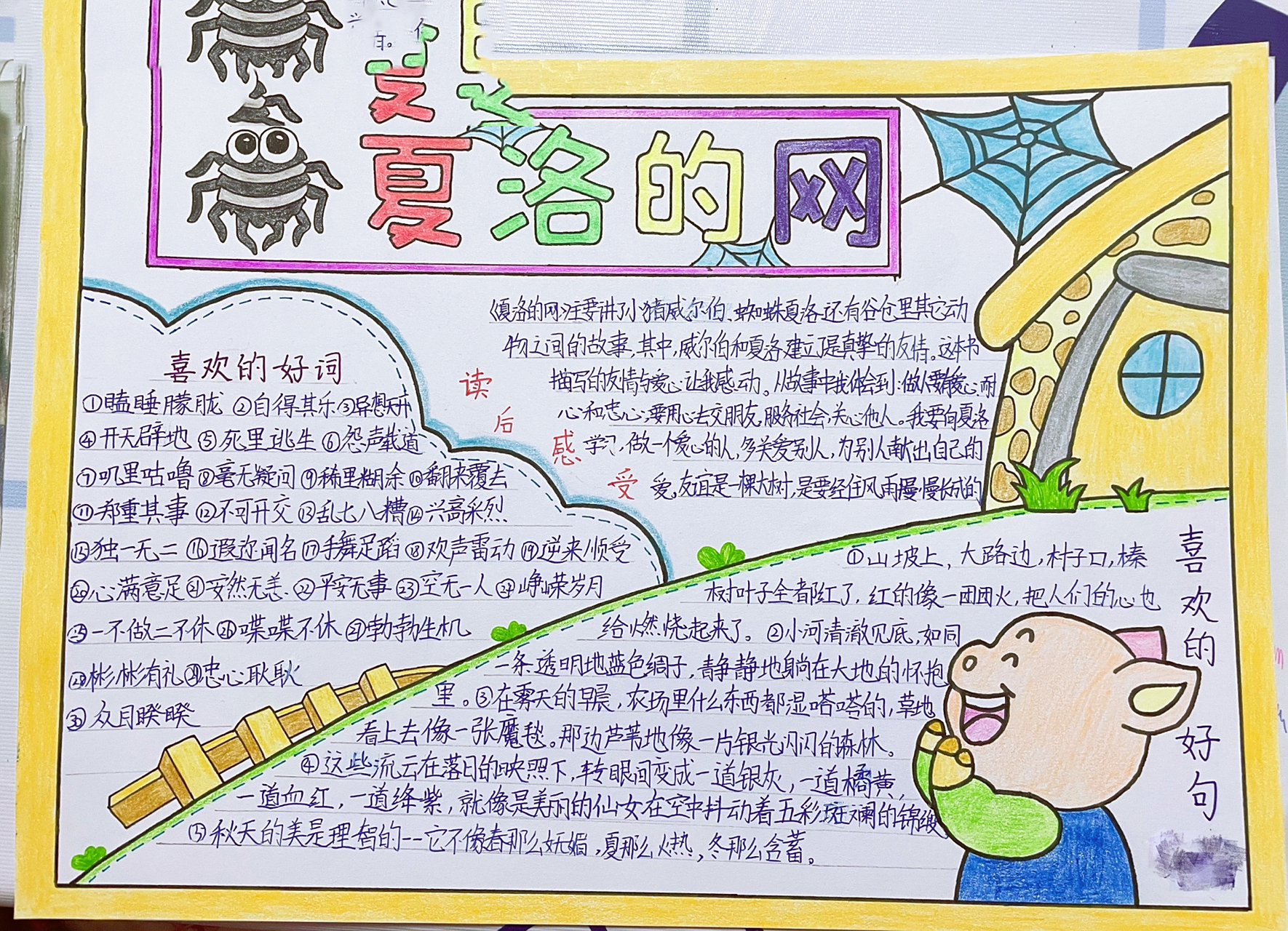 【夏洛的网】手抄报 娃的 有这个作业的参考下吧