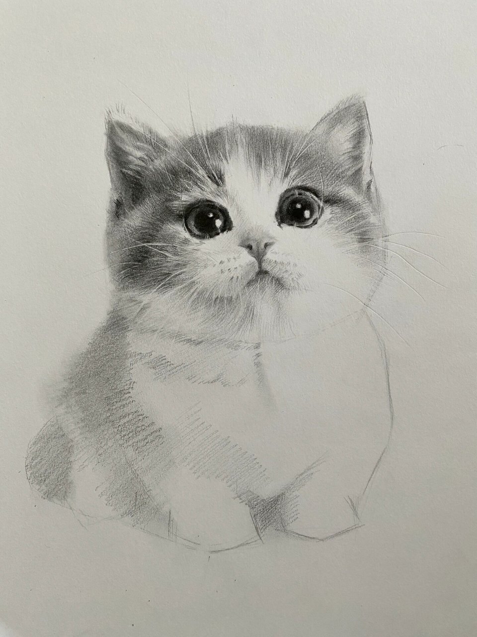 素描动物-小奶猫 铅笔素描