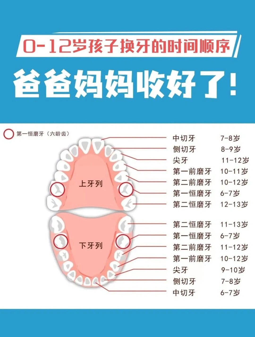 儿童换牙的时间顺序 儿童换牙是指孩子从乳牙逐渐脱落