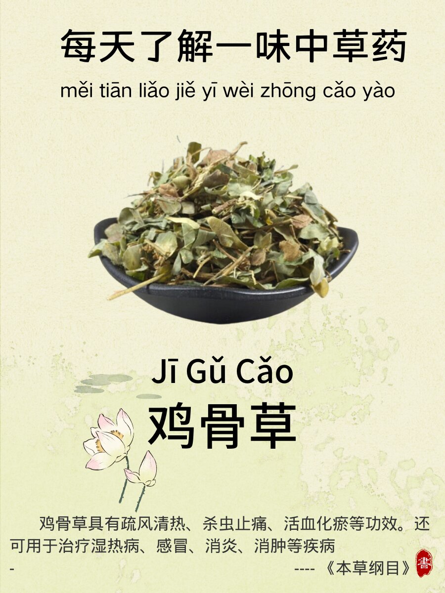 每天了解一味中草yao-鸡骨草