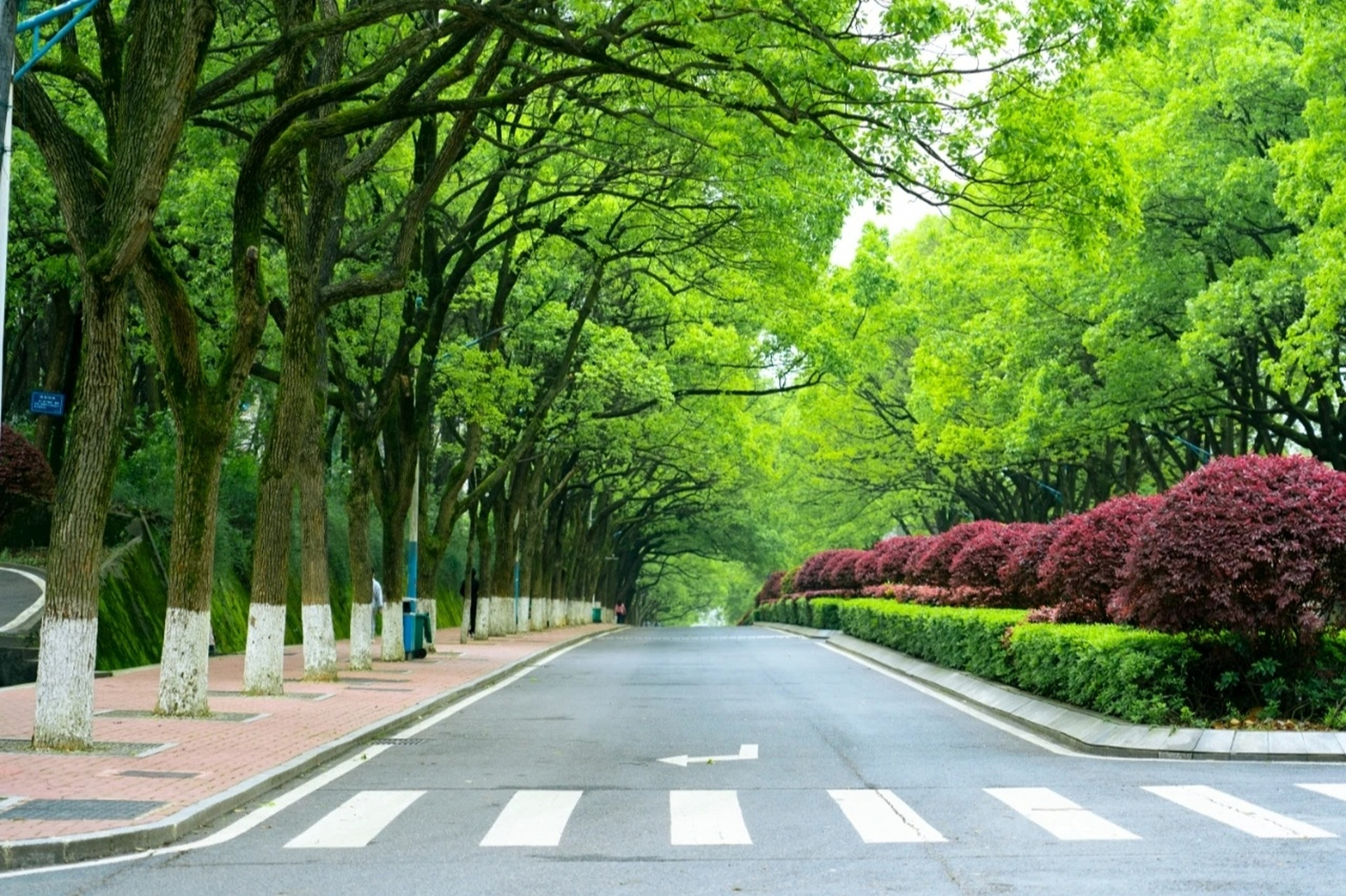 益阳最美高校-益阳职业技术学院(美图) 分享一波益阳职院的校园美图