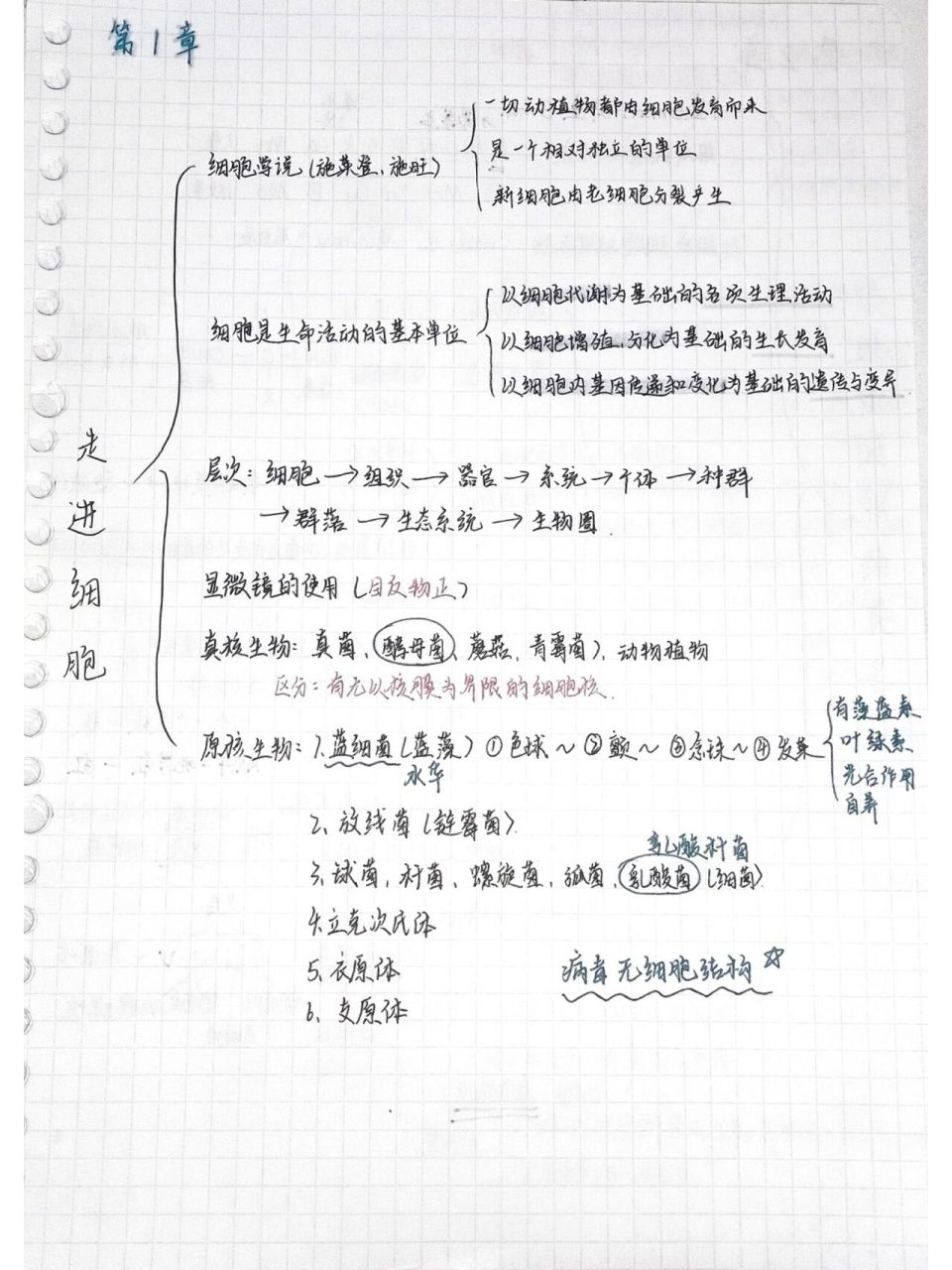 高一生物必修一思维导图