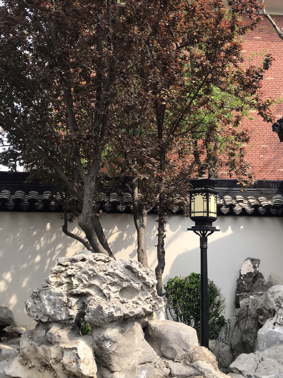 石家庄的苏州园林—裕园 咱就是说这个公园也太有江南那味儿了吧 古风