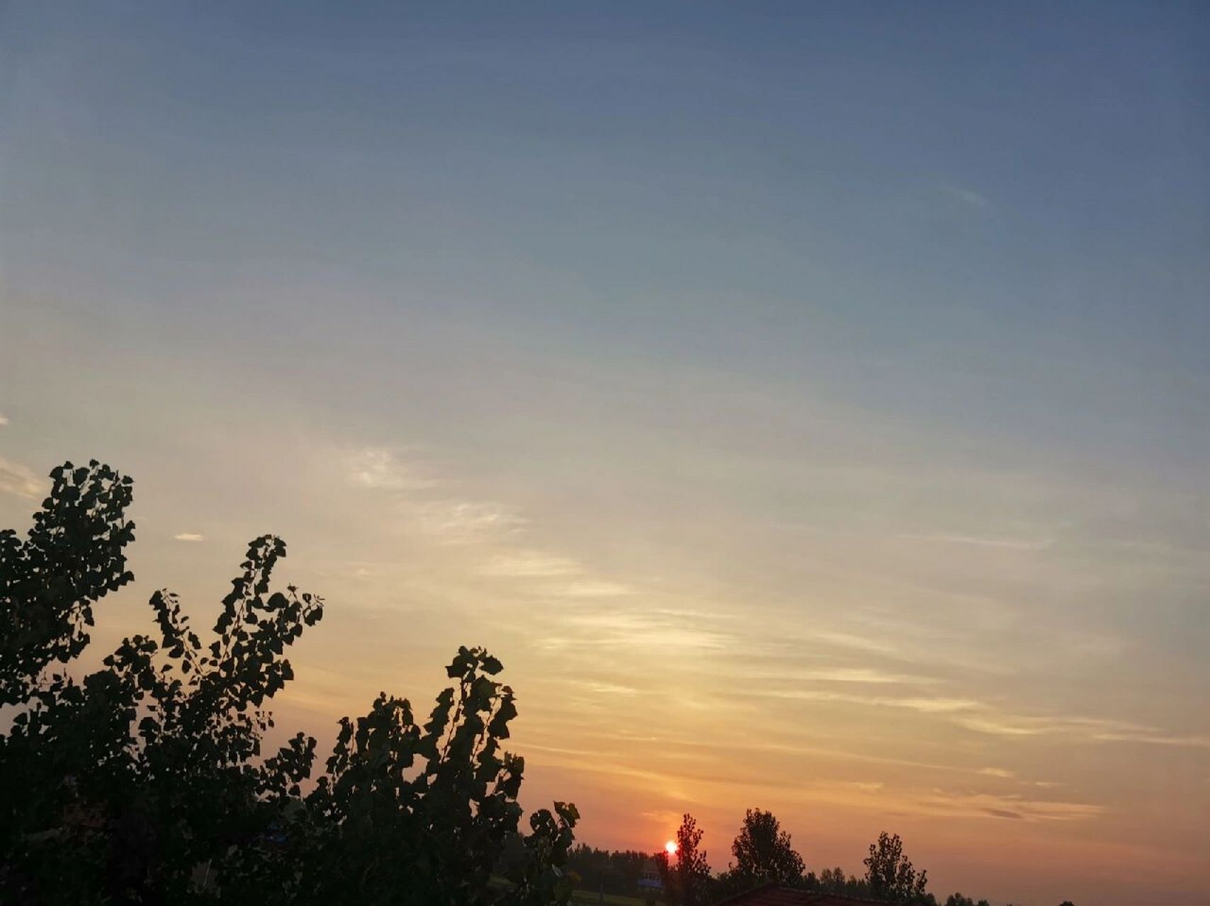 看看农村早晨的日出,美不胜收啊!