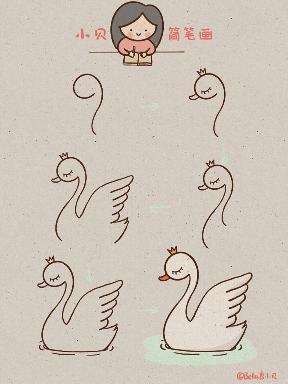 小贝简笔画-天鹅06 天鹅指雁族(学名:cygnus)的鸟类,属游禽,国家