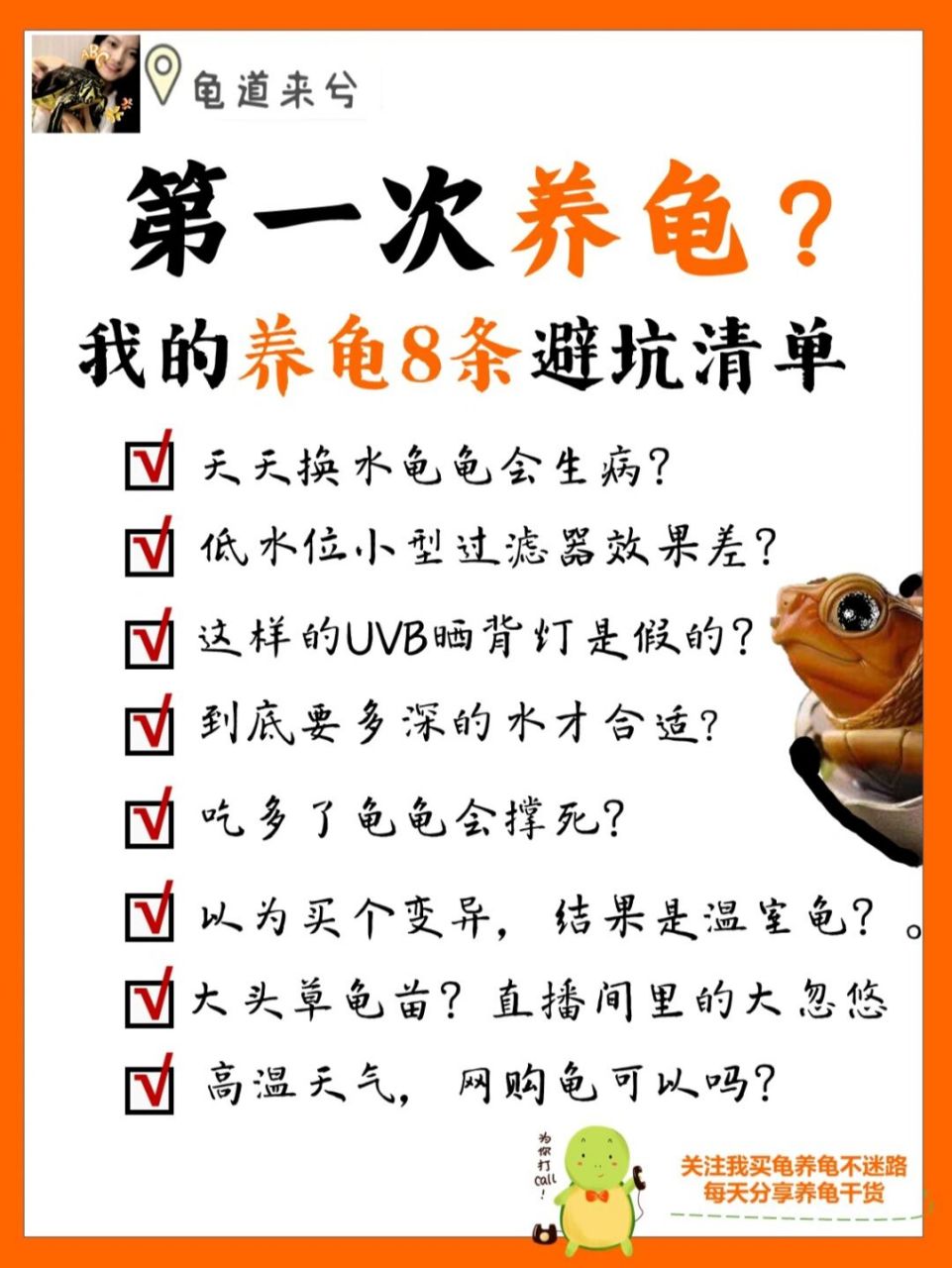 宠物我熟|新手养龟八条避坑指南 养龟避坑指南,第二部.