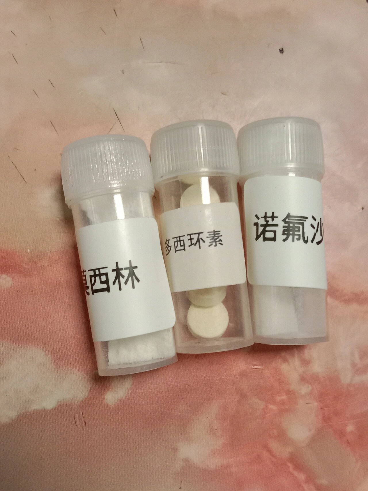 替米考星(内部资料请勿推流) 警告!