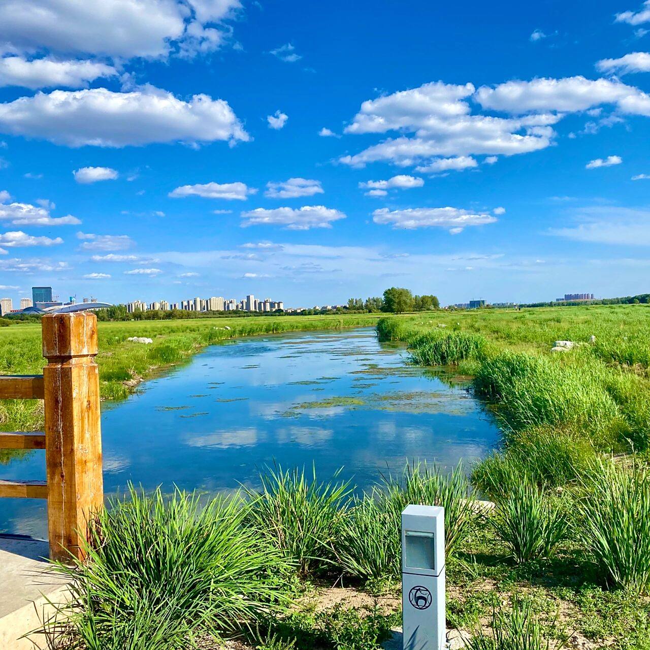 旅行|包头-赛汗塔拉城中草原 全亚洲最大的城中湿地草原 园中有各种