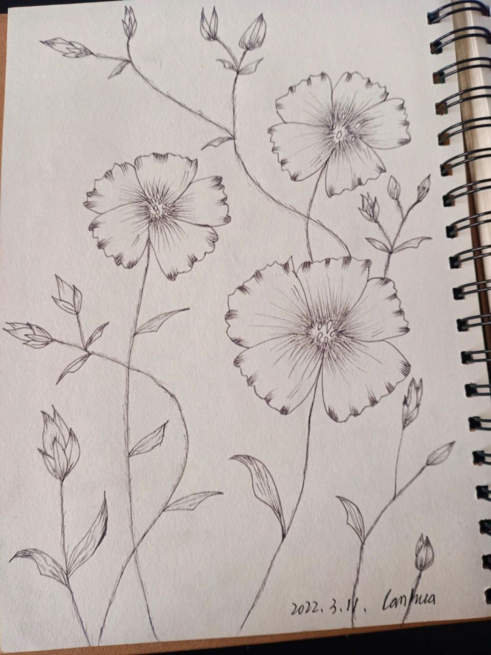 简单素描画