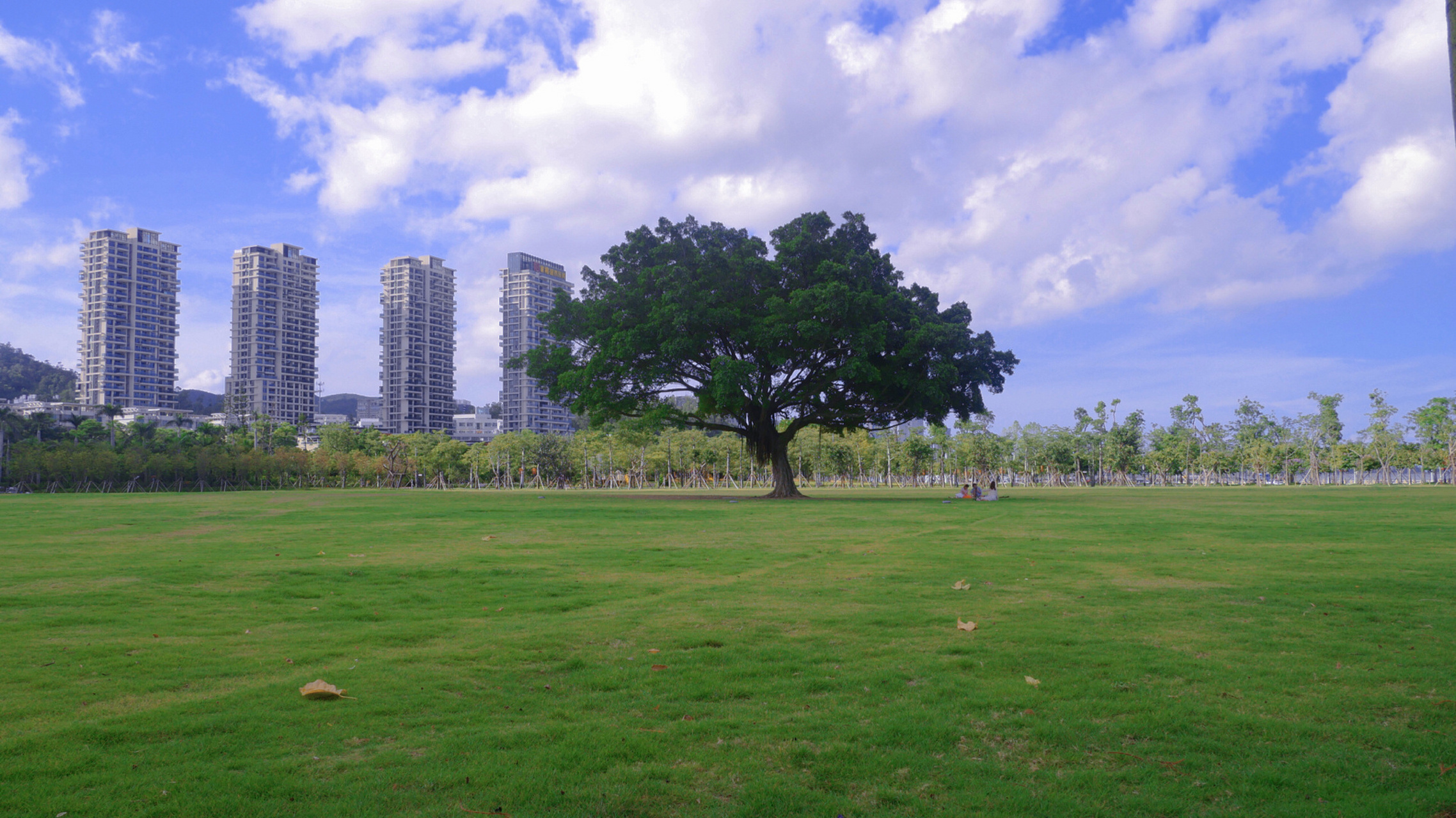 海天公园 | 珠海【最大】的网红海景草坪 夏季一到,珠海老网红公园又