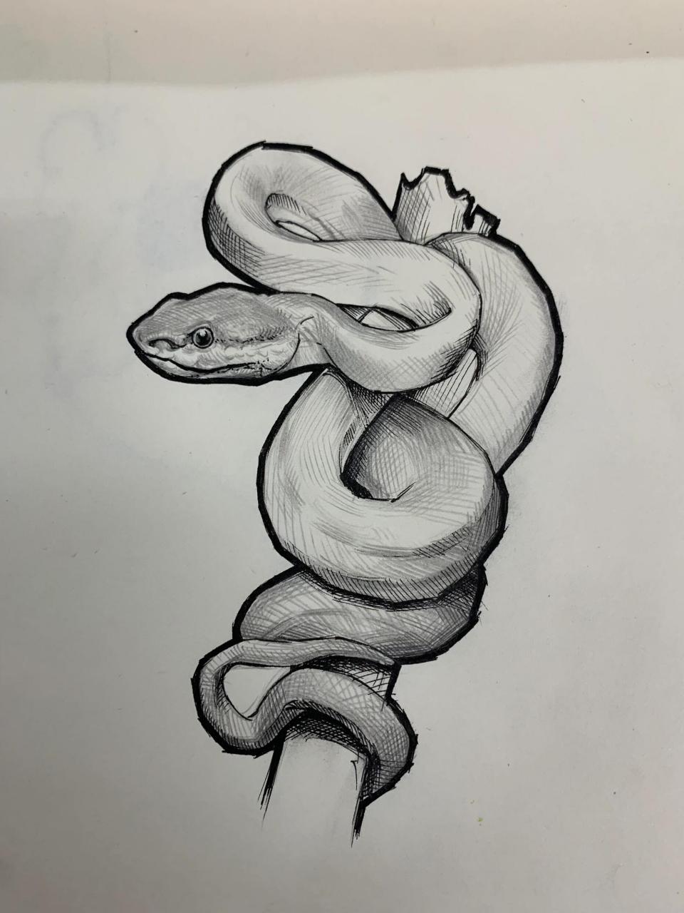 非常喜欢的一种蛇[爱你]#动物速写# #针管笔手绘# #钢笔画# #写生线描