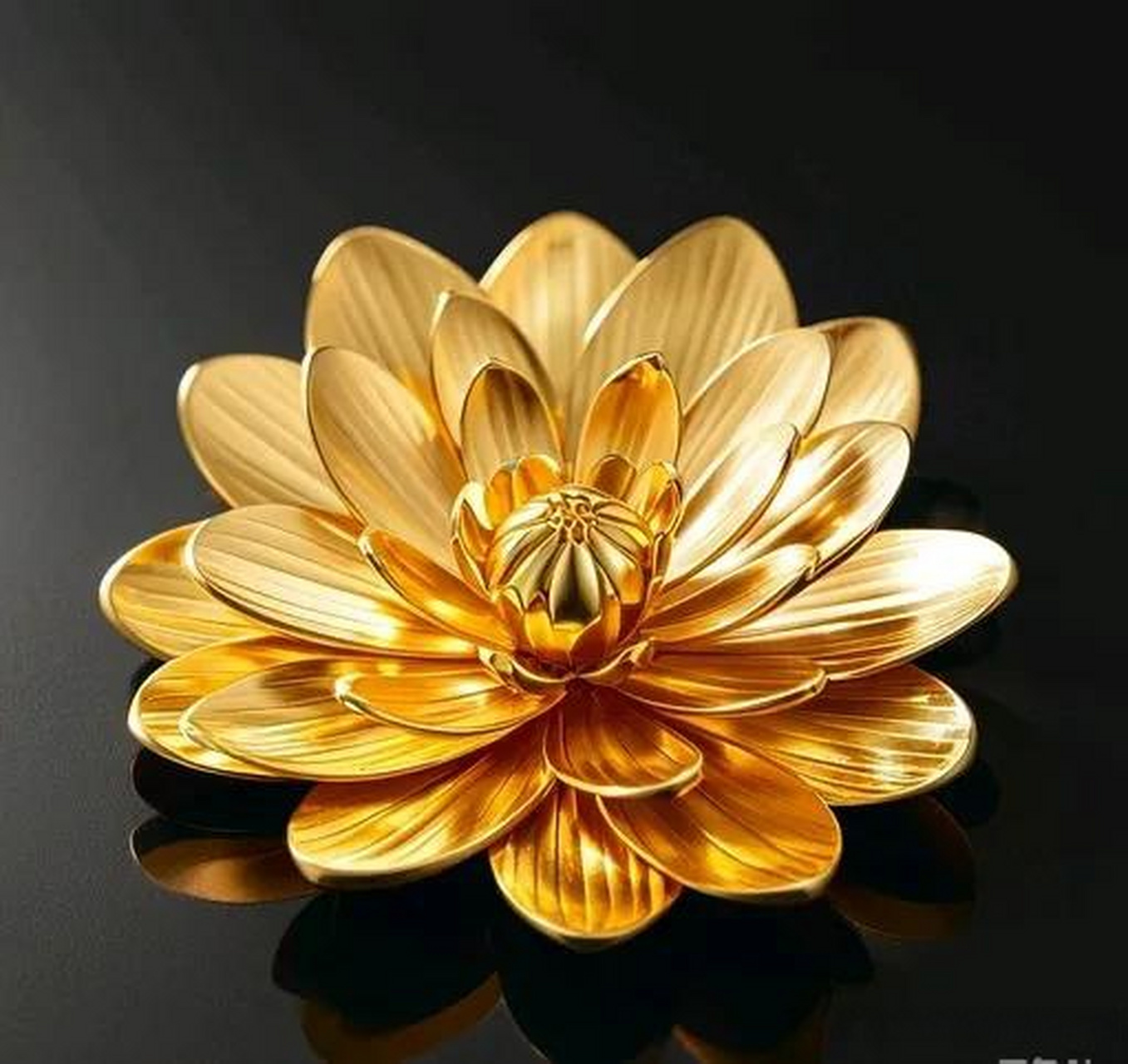 金色的微信头像,祝你幸福,生活金光闪闪祝学子一举夺魁(葵)寻找热爱