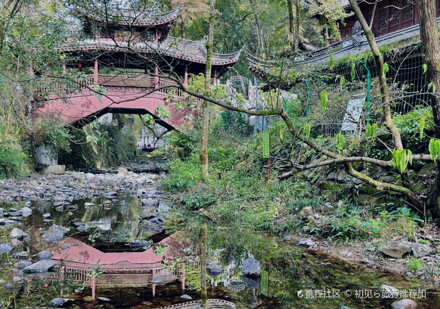 丽水白云森林公园