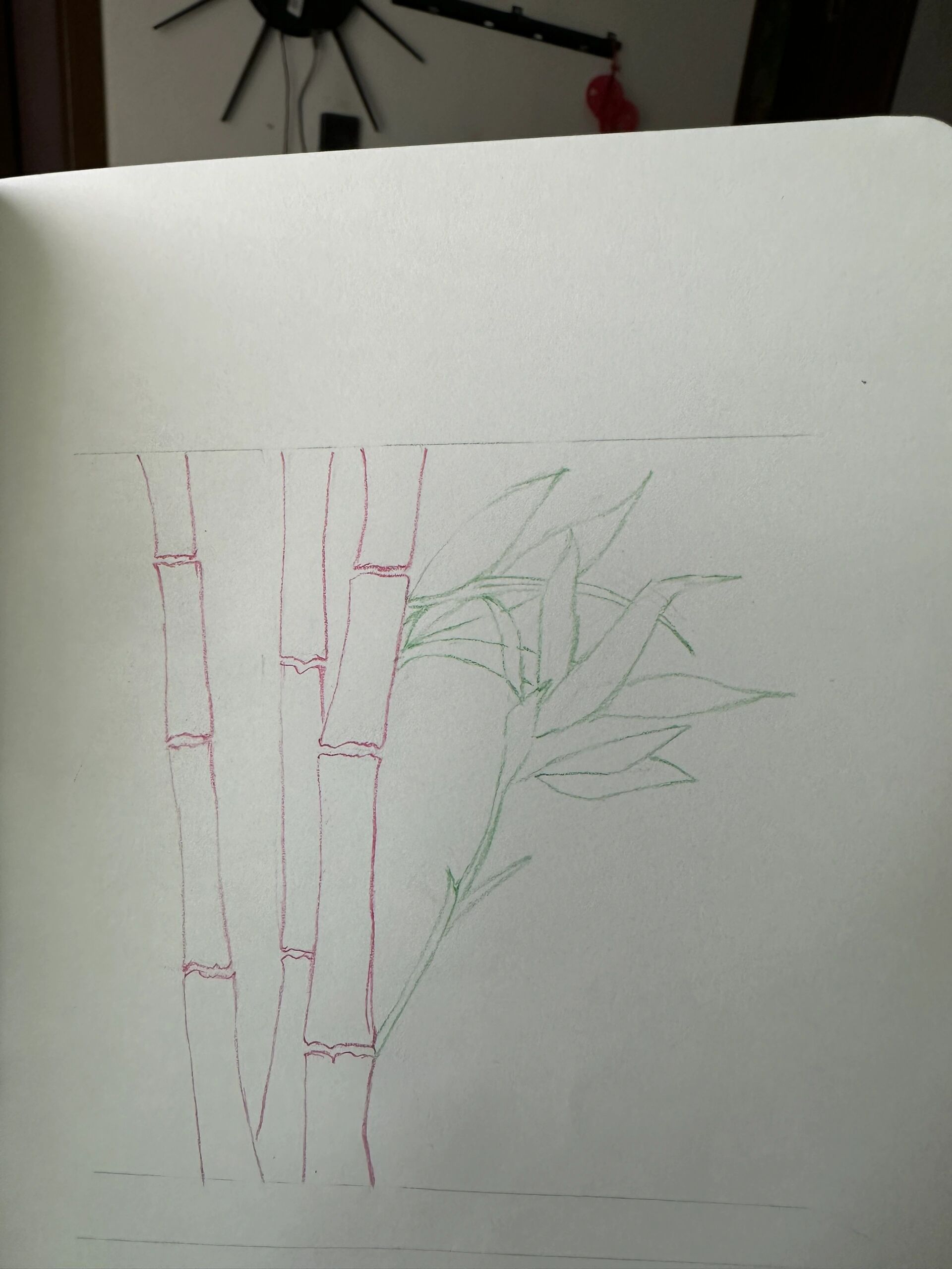 临摹彩铅竹子