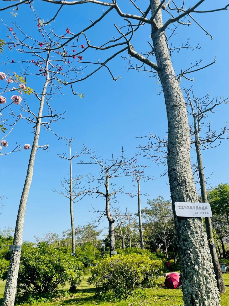 第一站选择了惠州入选广东十大美丽乡村的村子:鹿颈村.