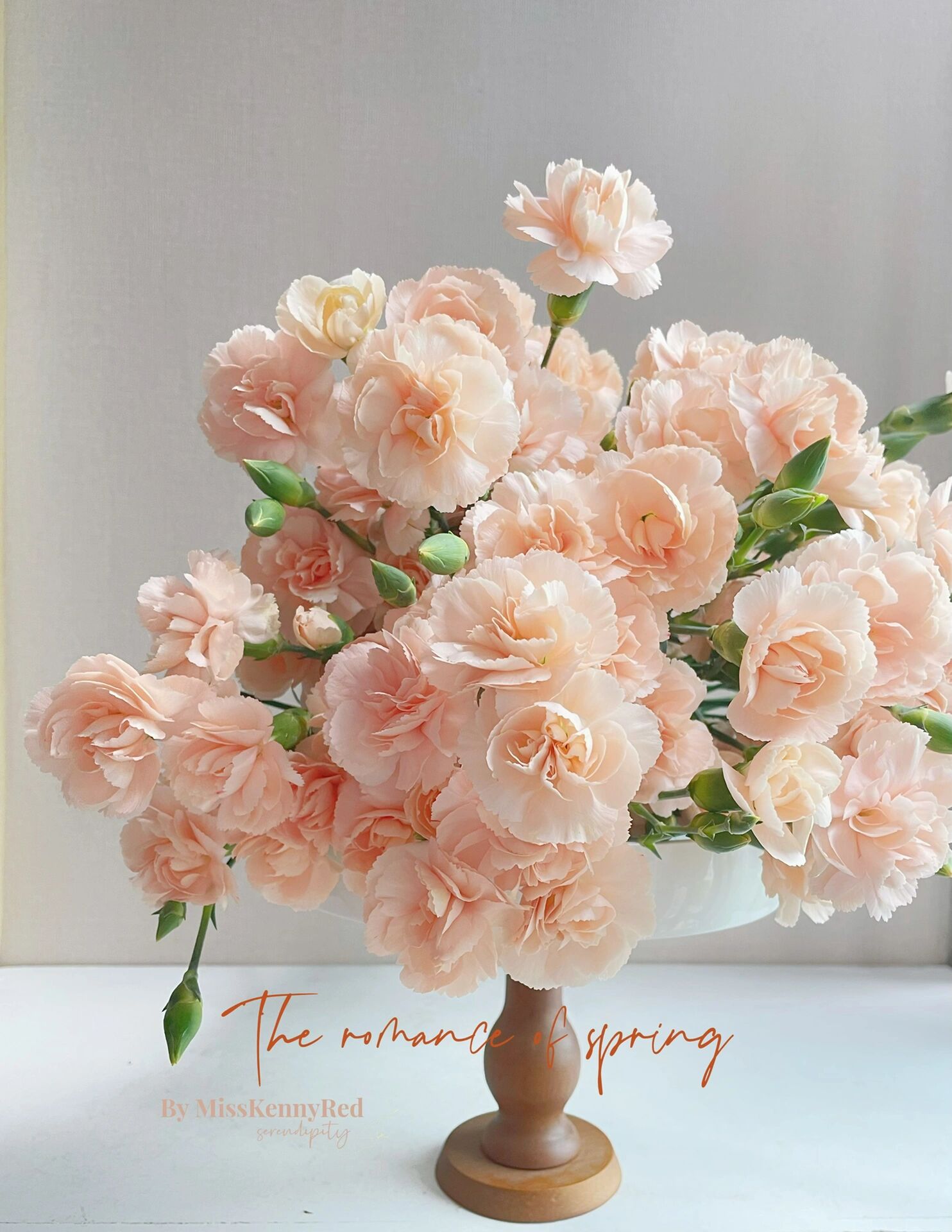 莫言|冰激凌香槟色的柔滑 多头康乃馨养护只需要低水位 几滴84 和营养