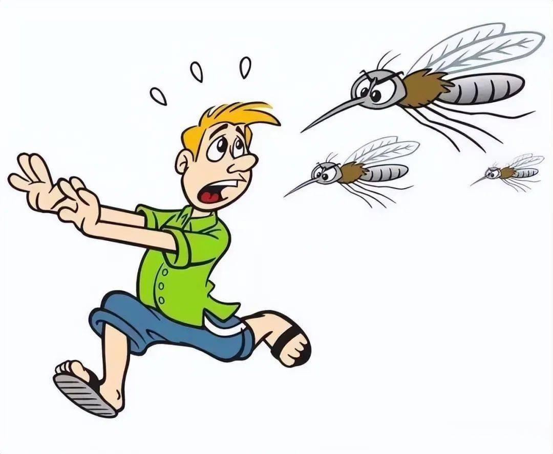 在去年的时候听一专家说,蚊子爱叮健康的人,因为叮咬人的都是母蚊佑