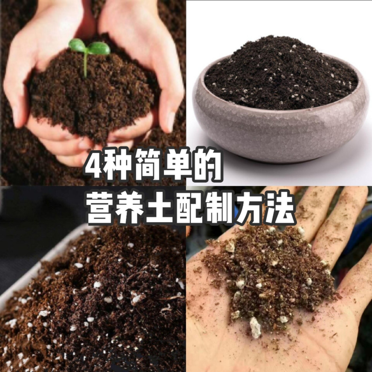 盆栽4种简单的营养土配制方法 土壤是花草生长的根本,好的土壤会让
