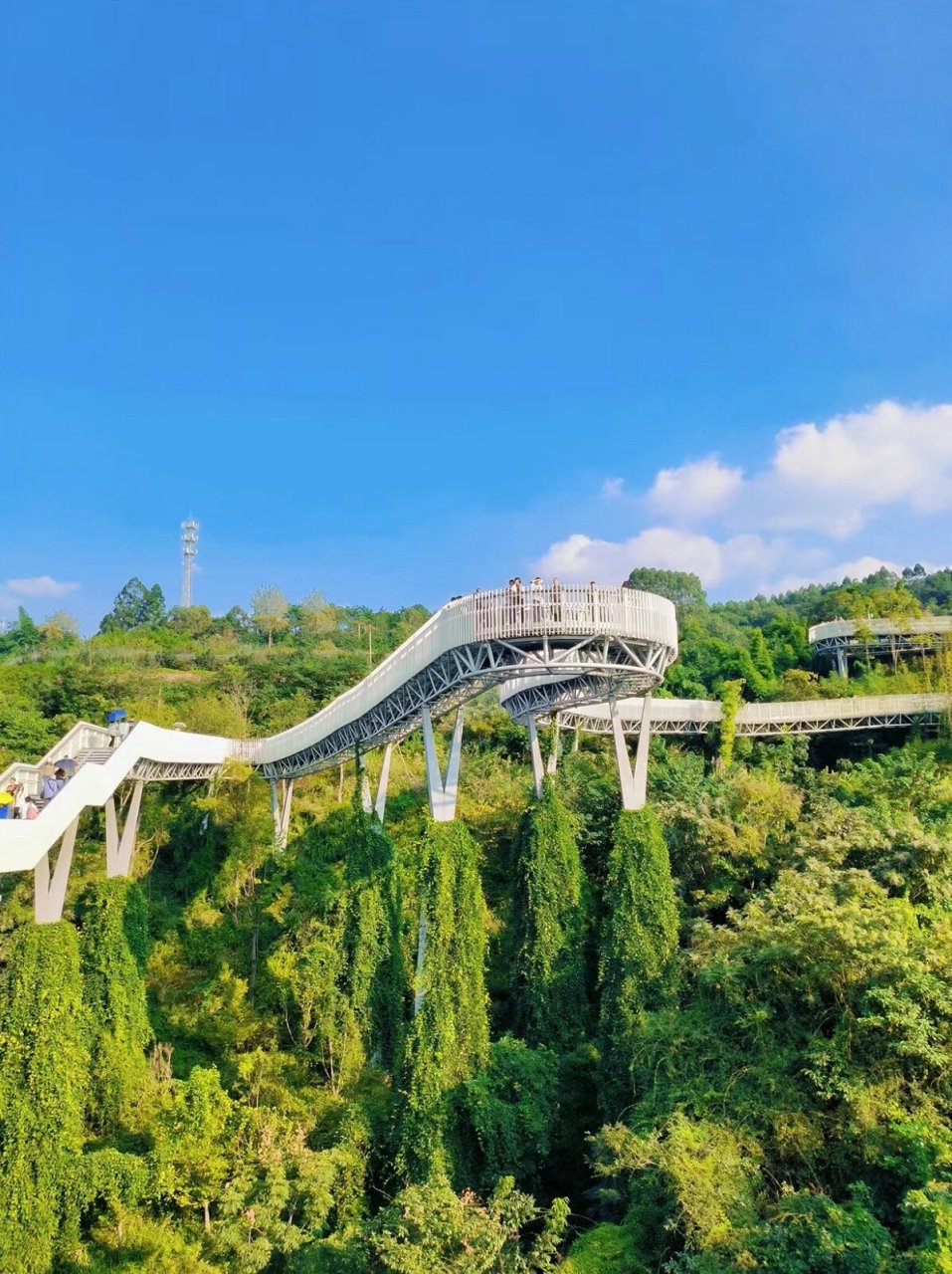 龙泉山高空栈道耍起 成都山地空中绿廊新地标—— 天府新区龙泉山森林