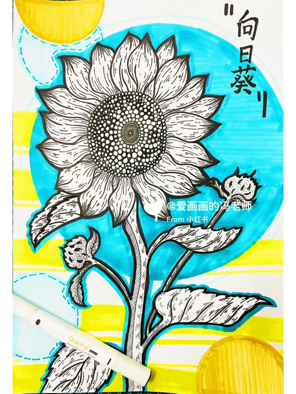 马克笔/线描/向日葵 今日分享线描马克笔,向日葵971 入目无他人,四