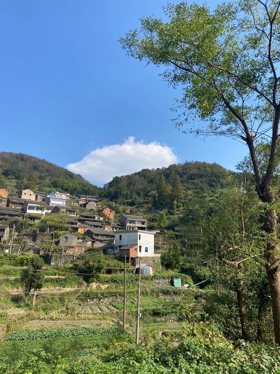 横溪金山村图片